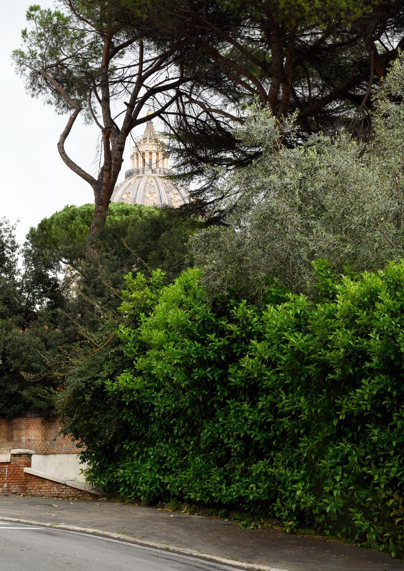 Magnoliahome Alla Cupola Di San Pietro Rome Bagian luar foto